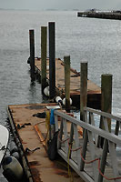 Boston Harbor floating dock inspection.